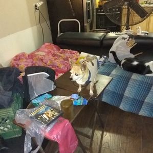 Meet your Posher, Kay